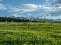 a lone country road is in the countryside area with mountains on both sides and barbed fence between the two sides