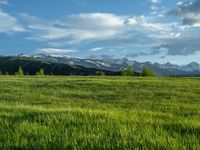 a lone country road is in the countryside area with mountains on both sides and barbed fence between the two sides