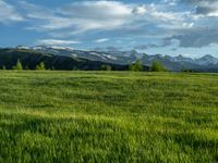 a lone country road is in the countryside area with mountains on both sides and barbed fence between the two sides