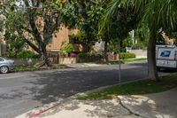 a moving truck on the street near a house and palm trees that are growing by the sidewalk