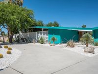 USA Architecture: Sleek Design with Palm Trees