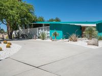 Sleek Design and Palm Trees in USA Architecture