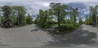 an image of the street in a spherical view with many trees to the side of it