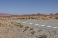 USA: Asphalt Road through the Desert Landscape