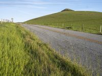 USA Asphalt Road Through a Green Field