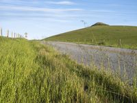 USA Asphalt Road Through a Green Field