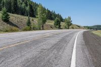 USA Asphalt Road Surrounded by Nature and Forest