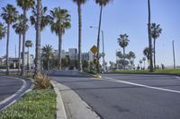 a traffic light near the beach with palm trees in the background and a white line on the road