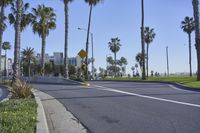 a traffic light near the beach with palm trees in the background and a white line on the road