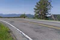 USA Asphalt Road Surrounded by Vegetation