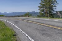 USA Asphalt Road Surrounded by Vegetation