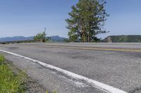 USA Asphalt Road Surrounded by Vegetation