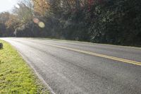 a paved highway runs through a wooded area near trees and bushes on the other side