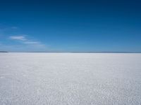 the vast expanse of salt, a plain, and blue sky are seen in this landscape