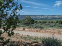 USA Campgrounds: Clouds Fill the Sky on a Sunny Day