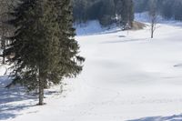 Winter Mountains in USA and Canada