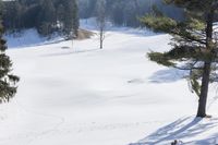 Winter Mountains in USA and Canada