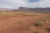 USA's Canyonlands: A Mix of Grass, Sand, and Desert