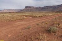 USA's Canyonlands: A Mix of Grass, Sand, and Desert