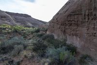 a canyon in the middle of nowhere that is empty, some shrubs around and other plants and shrubbery