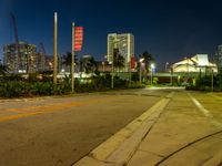 a city street lined with lots of buildings at night, and a yellow fire hydrant on the right