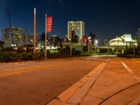 a city street lined with lots of buildings at night, and a yellow fire hydrant on the right