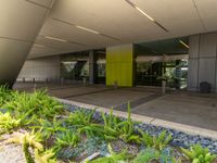 a view of an entry into the building with plants and plants growing in the plant bed