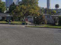 USA City Streets and High Rises