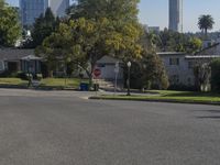 USA City Streets and High Rises