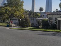 USA City Streets and High Rises