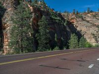 USA's Clear Sky Landscape: Road through Zion National Park