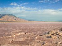 the salt flats are very reddish than most other plain landscapes on earth that appears to have very little vegetation