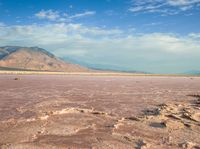 the salt flats are very reddish than most other plain landscapes on earth that appears to have very little vegetation