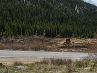 a mountain side with a road running next to the mountains, a bike parked in front of it and trees on one side