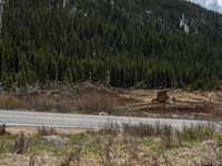 a mountain side with a road running next to the mountains, a bike parked in front of it and trees on one side