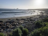 a grassy grassy area with rocks and water at the shore of a beach and sandbank