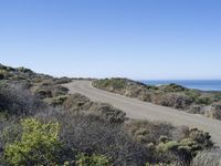 a empty road is between some scrub with some bushes in the background and a beach in the distance