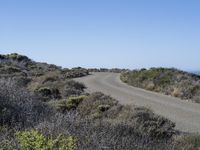 a empty road is between some scrub with some bushes in the background and a beach in the distance