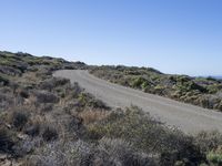 a empty road is between some scrub with some bushes in the background and a beach in the distance