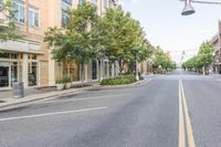 there is a empty street that looks pretty with trees in the middle and shops on both sides