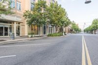 there is a empty street that looks pretty with trees in the middle and shops on both sides