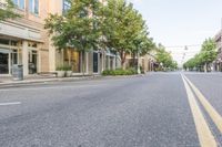 there is a empty street that looks pretty with trees in the middle and shops on both sides