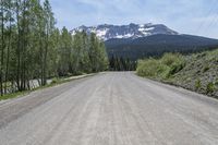 USA's Scenic Forest: A Mountain Road in Colorado