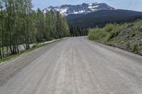 USA's Scenic Forest: A Mountain Road in Colorado