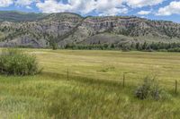 USA: Colorado Open Grass Plains 001