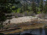 a forest is seen in this wide angle view in this photo from the bottom of the trail