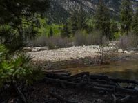 a forest is seen in this wide angle view in this photo from the bottom of the trail