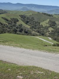 USA: Curvy Road in the Highland Grass