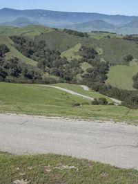 USA: Curvy Road in the Highland Grass