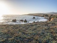 a grassy field by the shore and a cliff with rocks in the ocean in the background